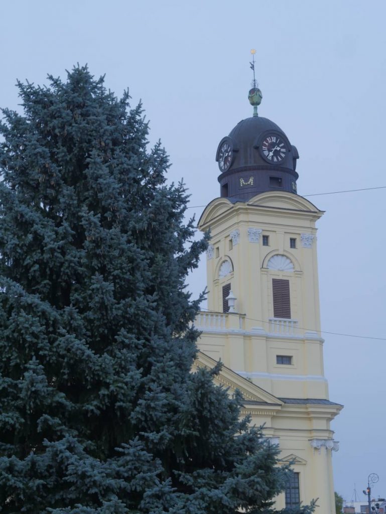 Debrecen karácsonyfája 2020. november 20-án. Fotó: Muszka Tamás