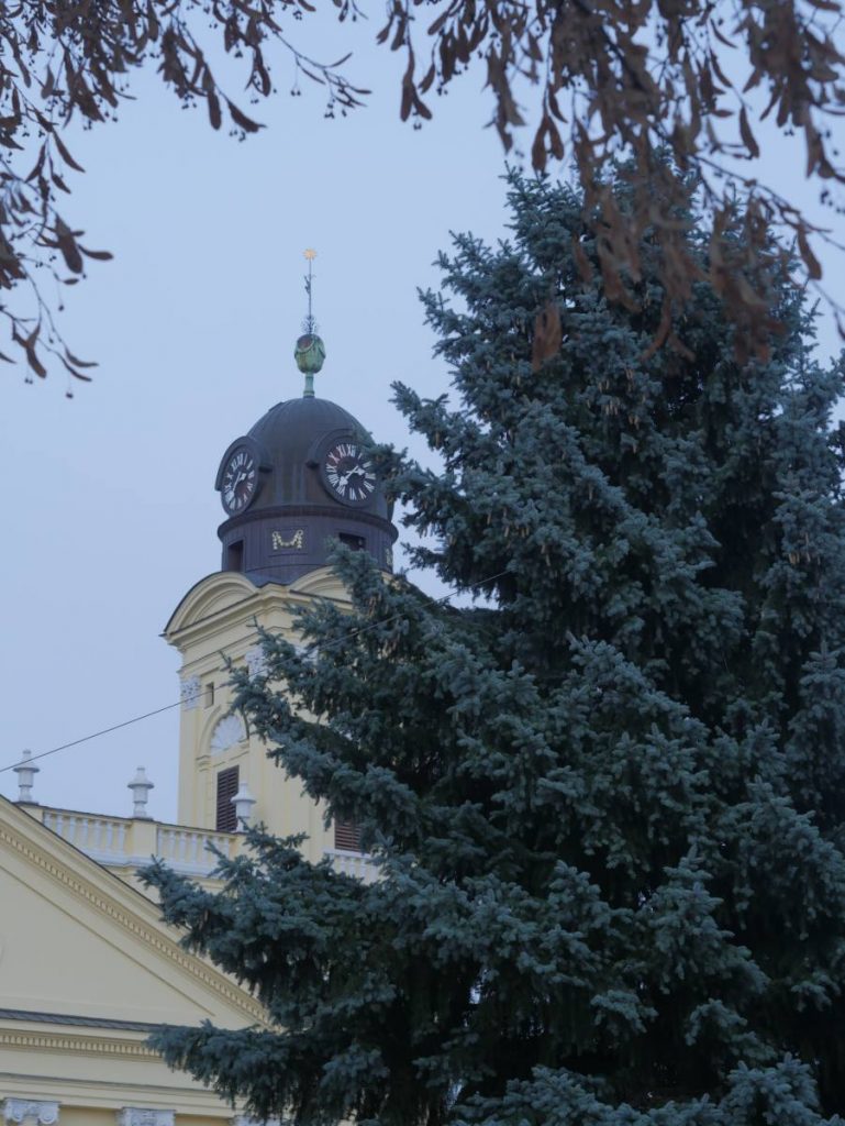 Debrecen karácsonyfája 2020. november 20-án. Fotó: Muszka Tamás