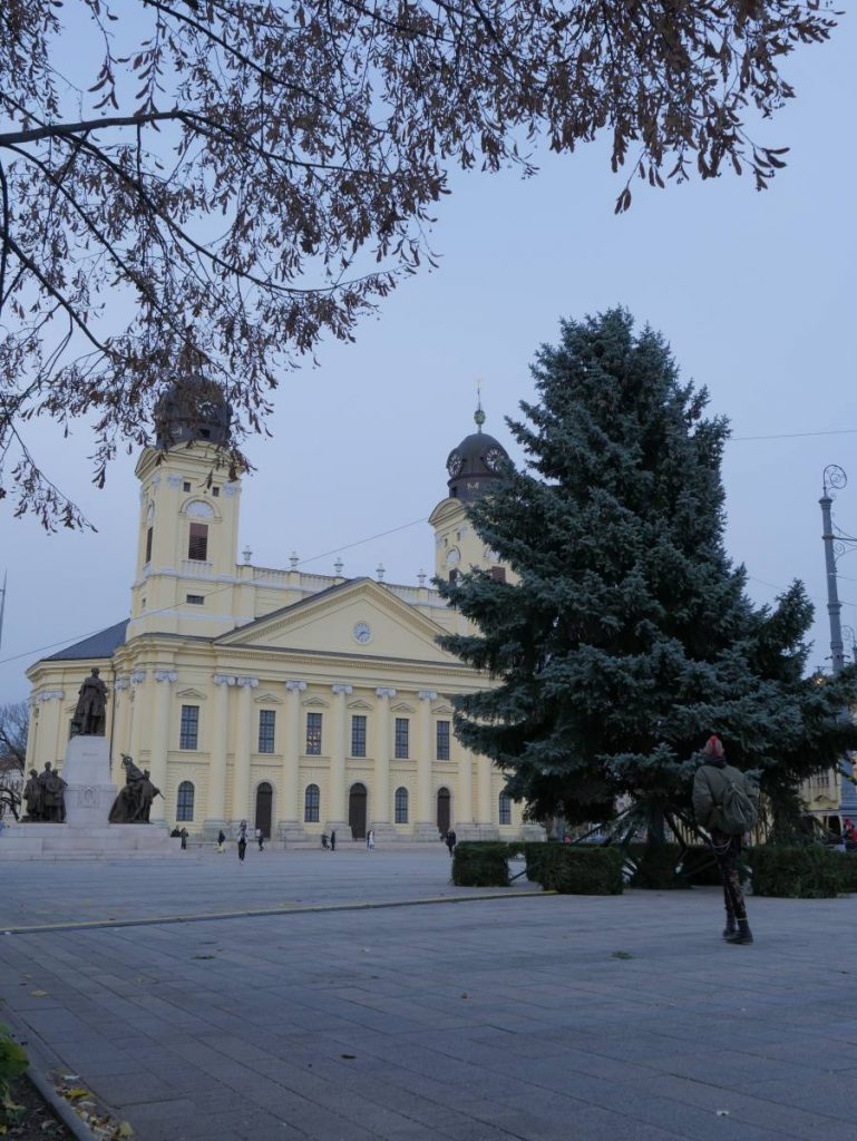Debrecen karácsonyfája 2020. november 20-án. Fotó: Muszka Tamás