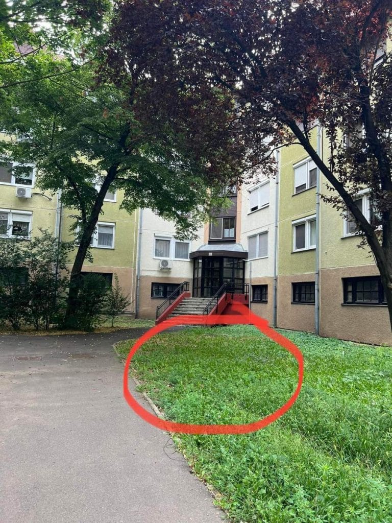 Kutyások figyelem! Valaki szegekkel tömött húsokat dobál el a Tócóskertben