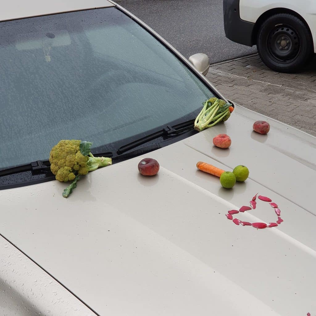 Különleges, vegán művészeti alkotás jelent meg Debrecenben