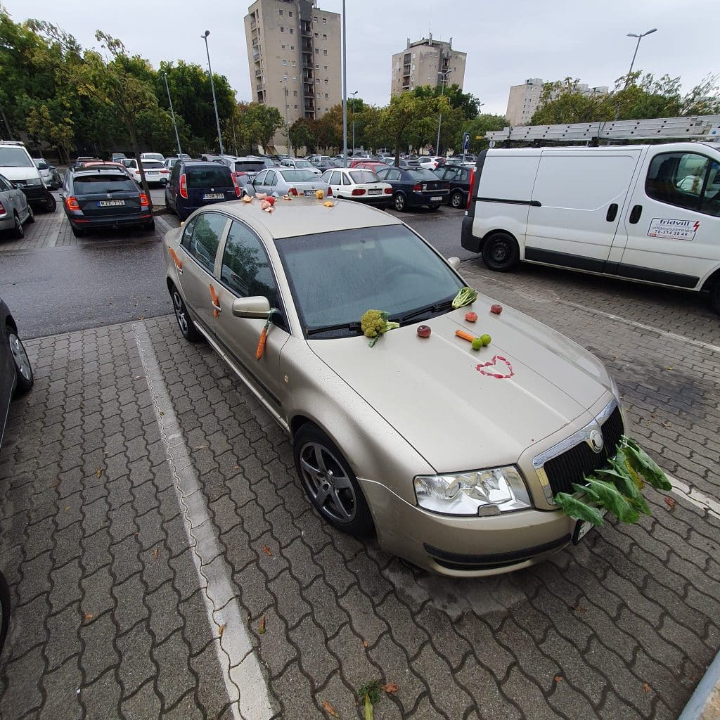 Különleges, vegán művészeti alkotás jelent meg Debrecenben
