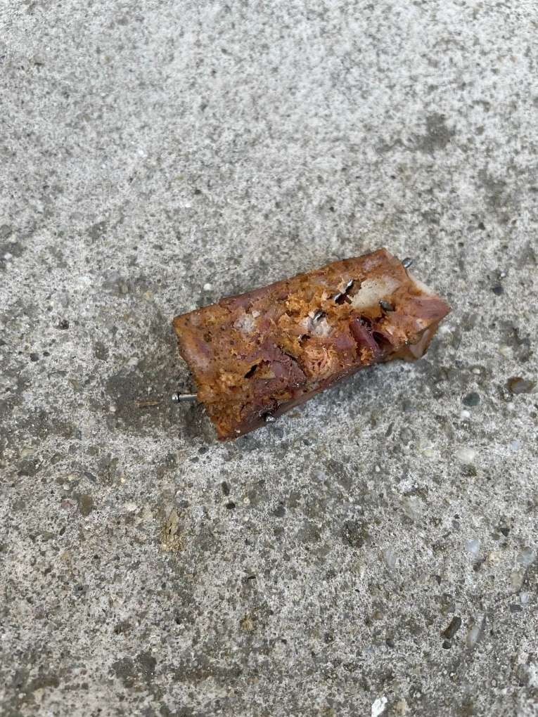 Vigyázat! Újból szeggel teletűzdelt húsokat dobáltak szét a Tócóskertben